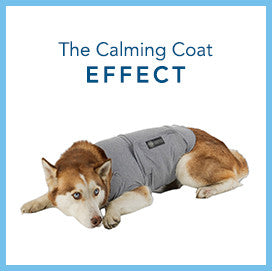 The Calming Coat effect